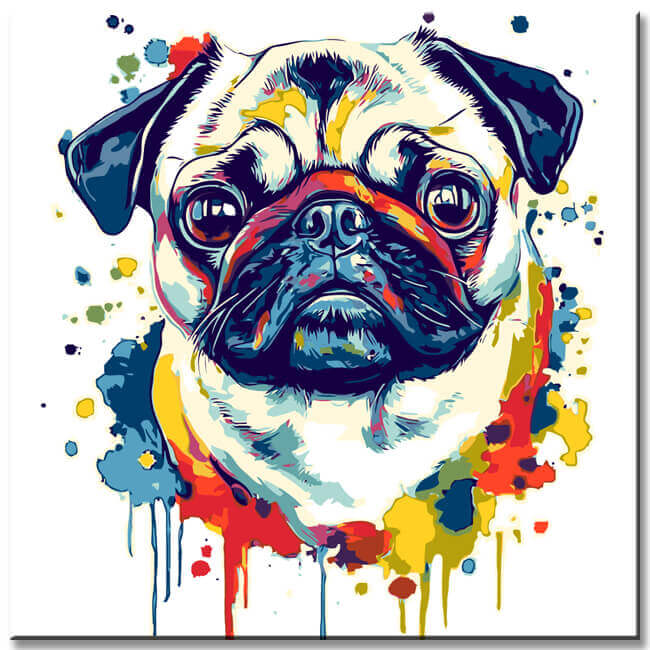 Paint by Numbers Dog Pug Portraits Modern Animal Art
