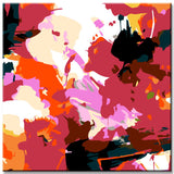 Painting by Numbers Abstract Art Creative Color Spectrum II