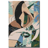 Painting by Numbers Abstract Photo Collages II