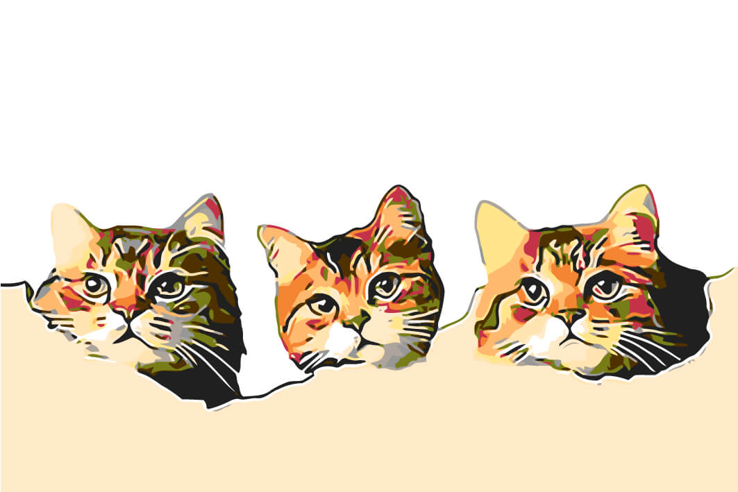 Painting by Numbers Art 3D Three Cat Heads Peeking Out of The Wall