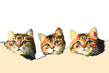 Painting by Numbers Art 3D Three Cat Heads Peeking Out of The Wall