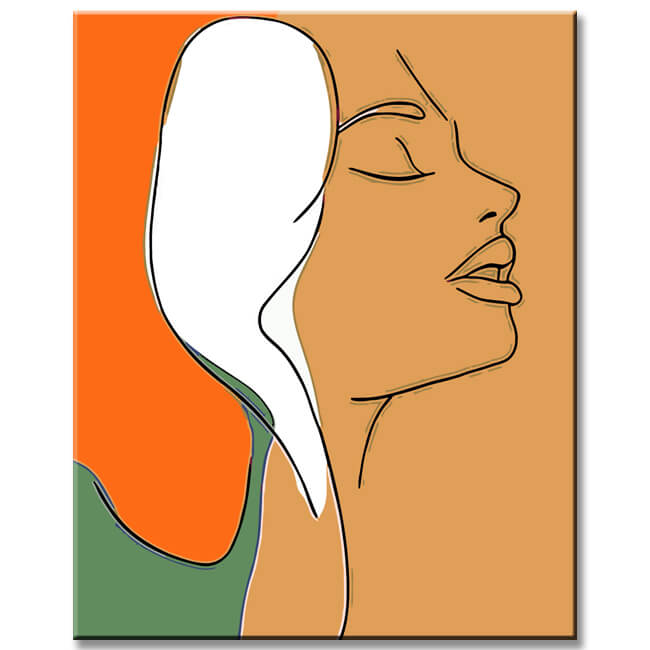 Painting by Numbers Art Minimalism Silhouette Half Colored Face of A Woman