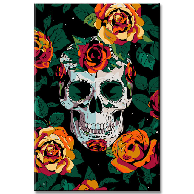Paint by Numbers Skull with Roses