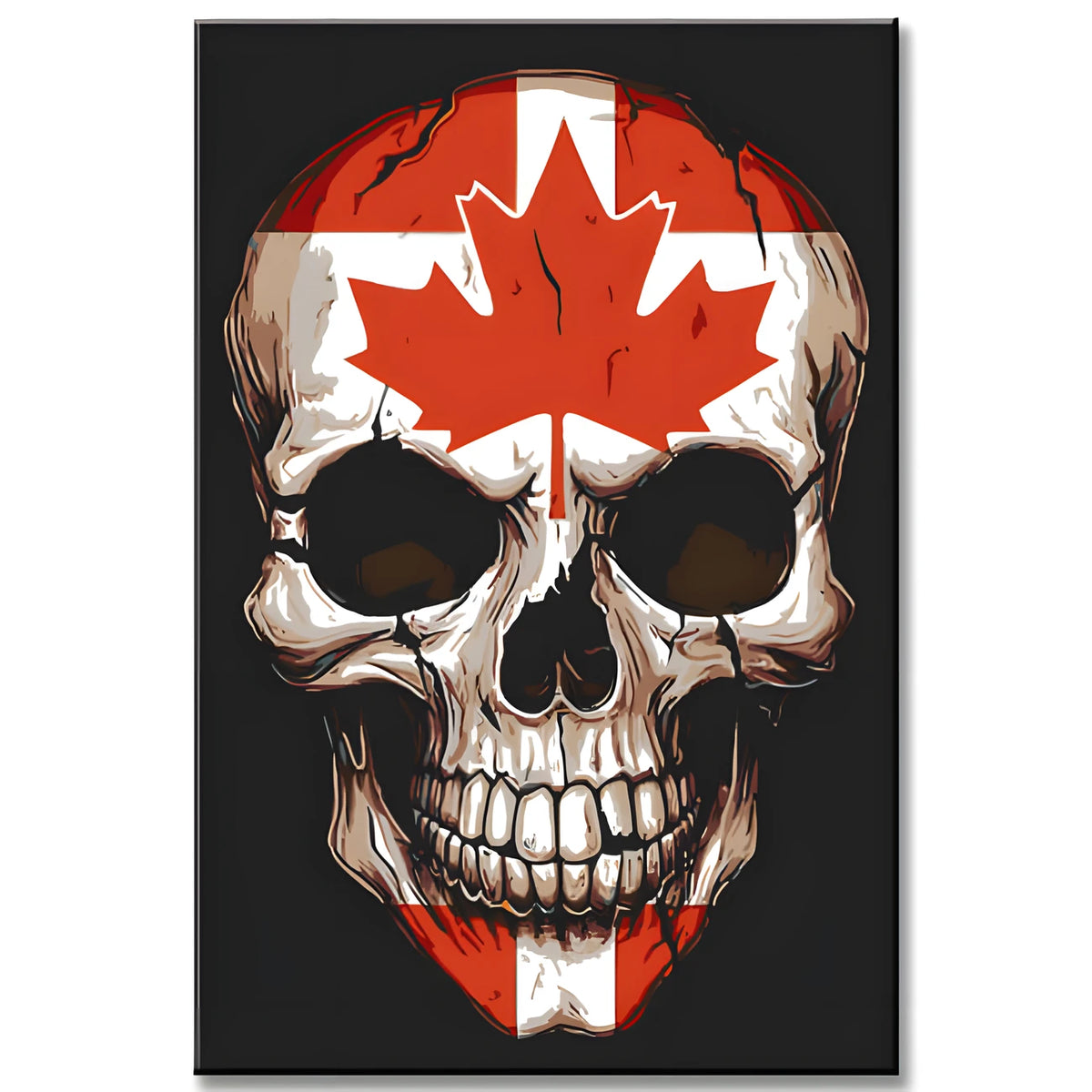 Paint by Numbers Skull Canada