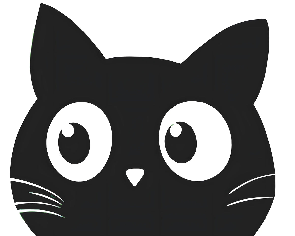 Painting by Numbers Cat Face Black and White