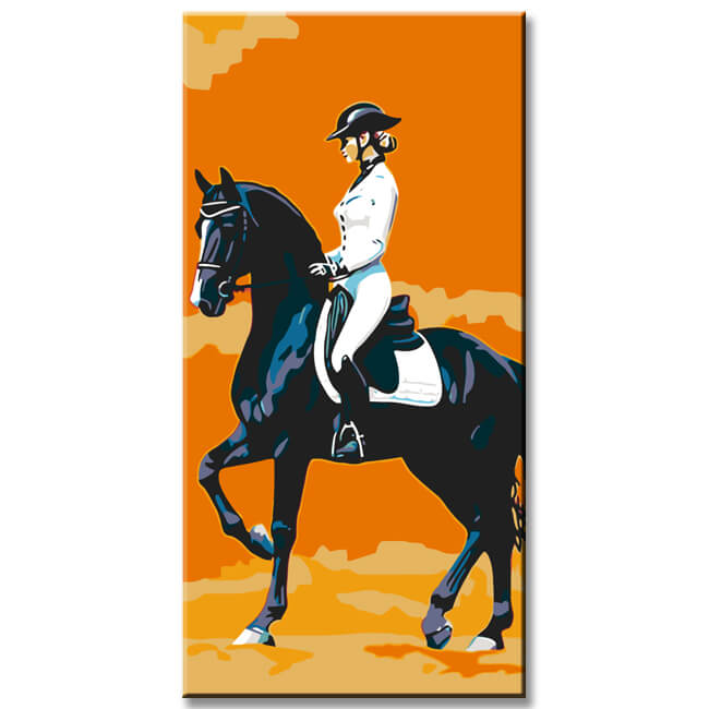 Painting by Numbers Art Rider Sits on A Black Horse
