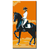 Painting by Numbers Art Rider Sits on A Black Horse