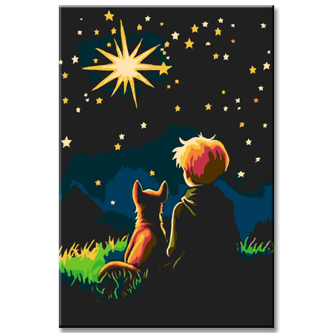 Painting by Numbers The Little Prince Starry Sky