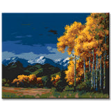 Painting by Numbers Art Nature Nature Autumn Trees in A Beautiful Landscape