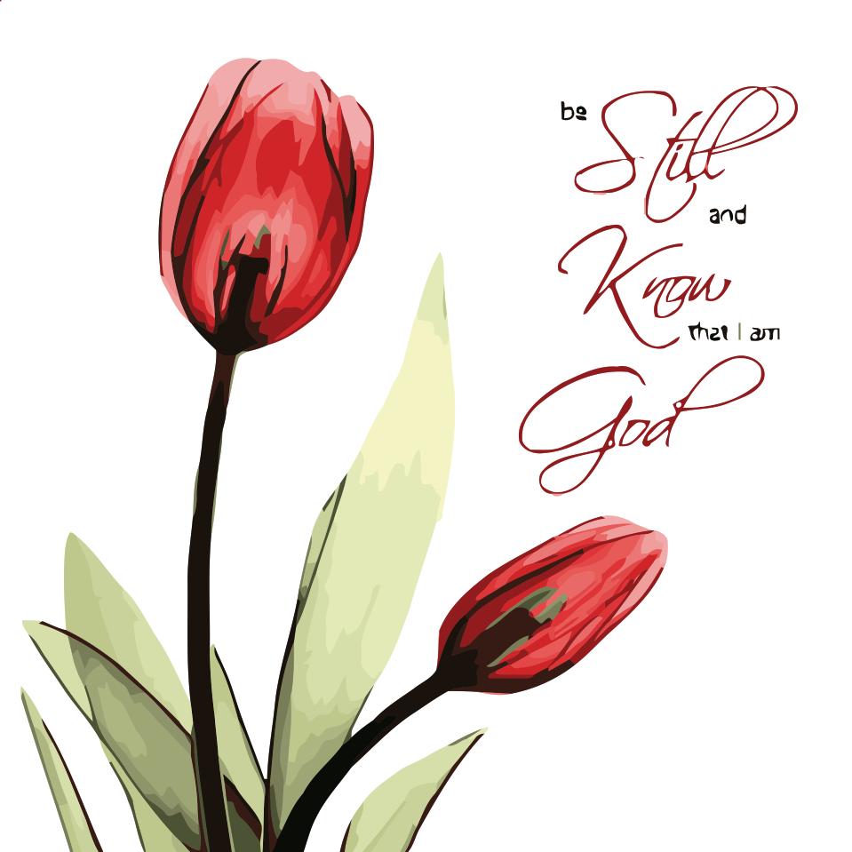 Painting by Numbers Flowers Two Red Tulips