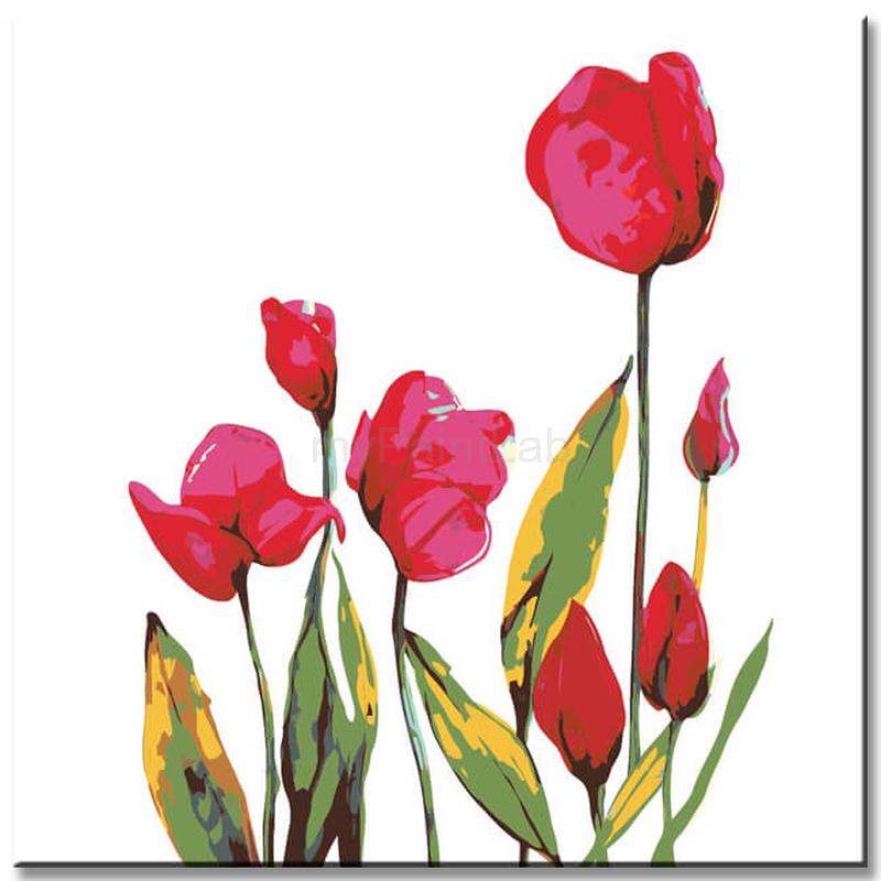 Painting by Numbers Flowers Two Red Tulips