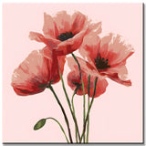 Painting by Numbers Flowers Three Red Tulips