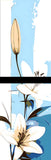 Painting by Numbers Art Nature Spring Lily 2-Panel