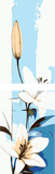 Painting by Numbers Art Nature Spring Lily 2-Panel