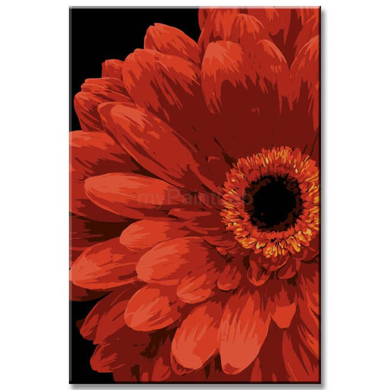 Painting by Numbers African Daisy