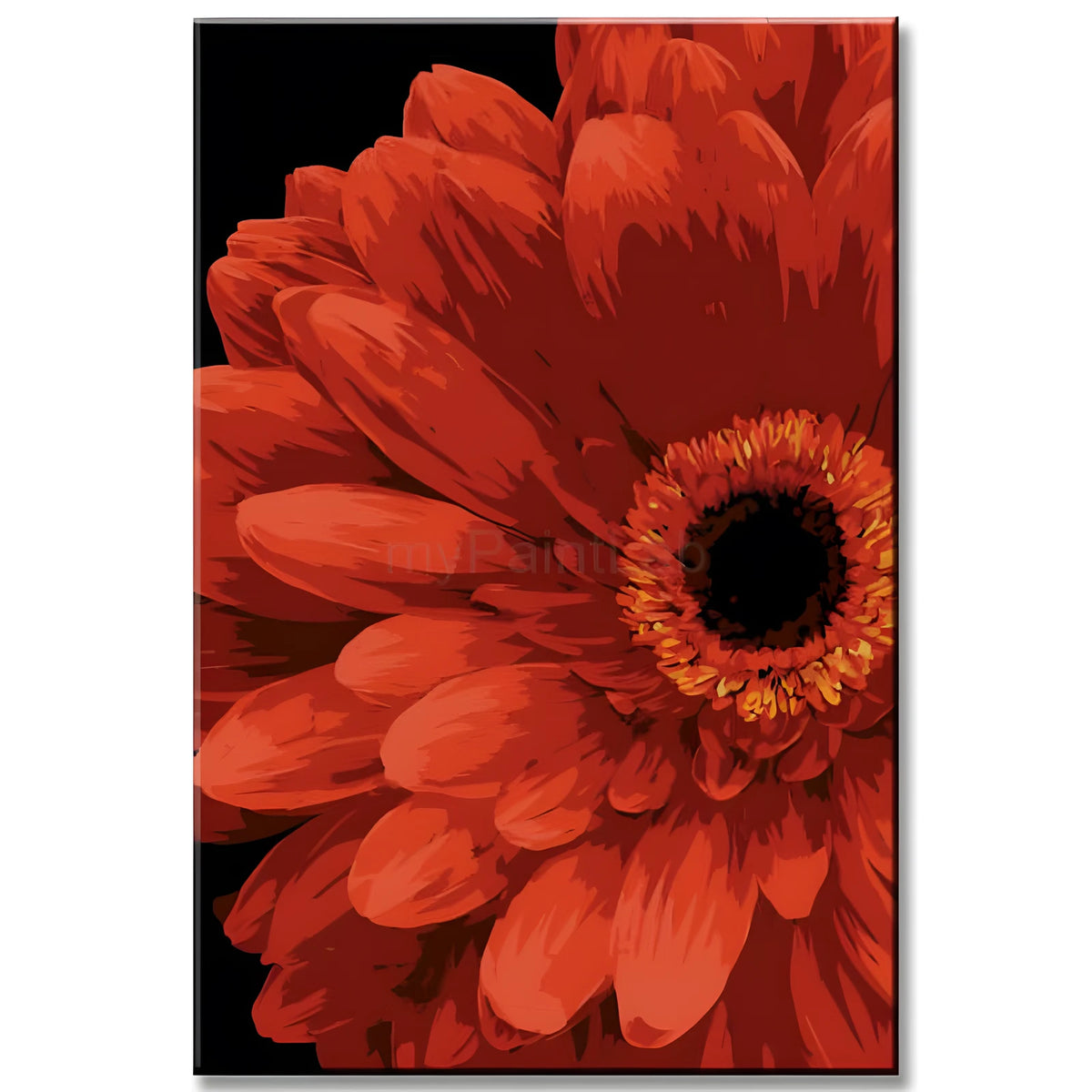 Painting by Numbers African Daisy