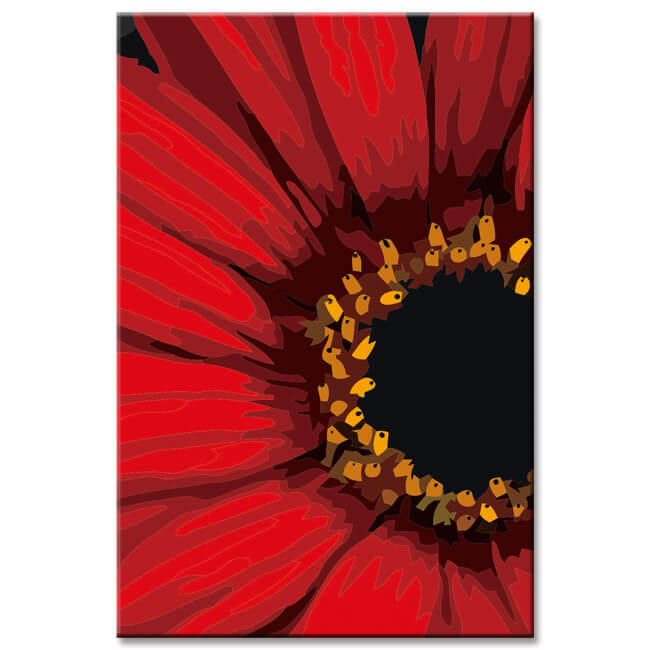 Painting by Numbers African Daisy Shipping from DE