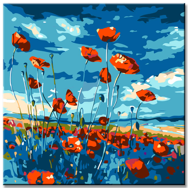 Painting by numbers poppy field shipping from DE-50*50cm-with stretcher frame-with covering service