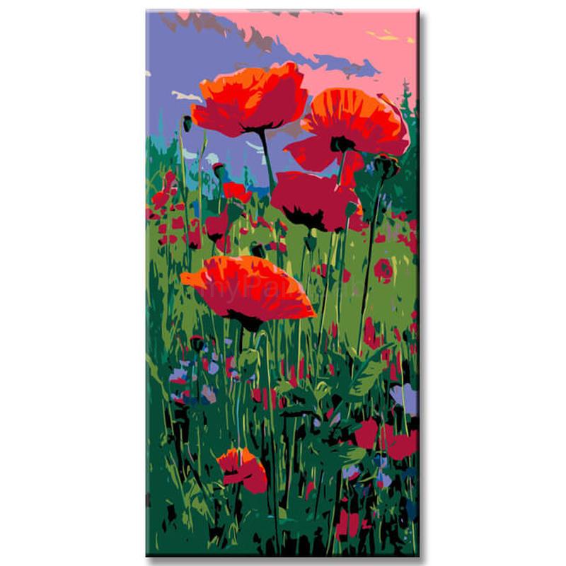 Painting by Numbers Poppy Field