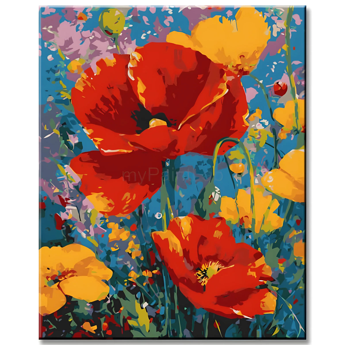 Painting by Numbers Flowers Red Poppy