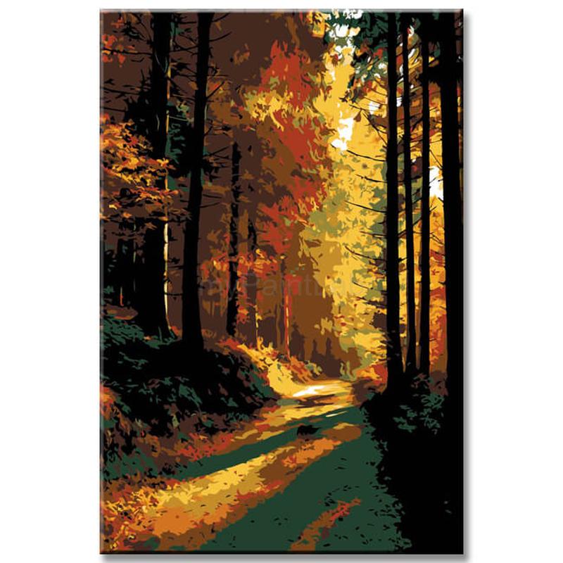 Painting by Numbers Shining Light in The forest