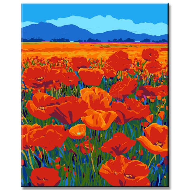 Paint by Numbers Poppy Field Field