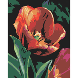 Painting by Numbers Blooming Tulip