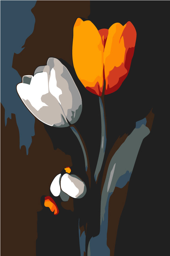 Painting by Numbers Orange and White Tulip Black and White