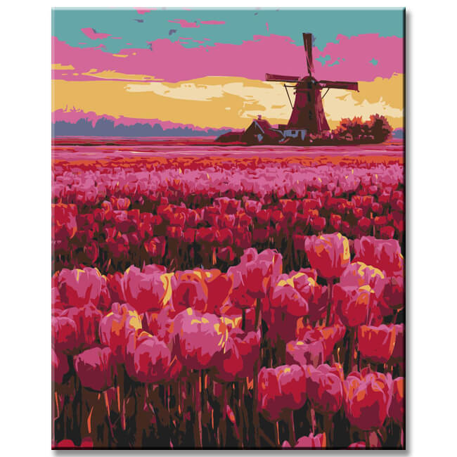 Painting by Numbers Netherlands Holland Tulips Windmill