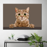 Painting by Numbers Art Animal Cat Looks At You