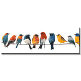 Painting by Numbers Art Animal Many Colorful Birds Sit on Hangers on A Leash