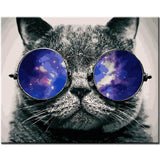 Painting by Numbers Cat with Glasses