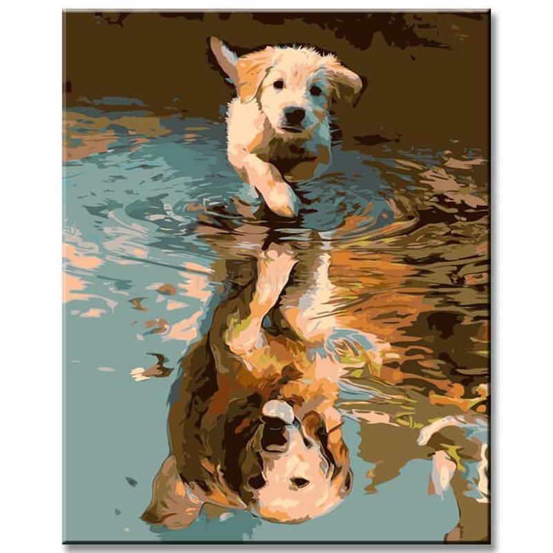 Painting by Numbers Art Animal Small Dog Puppy Reflected in The Puddle