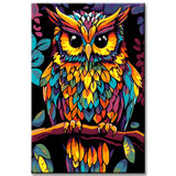 Painting by Numbers Bird Eagle Owl Portrait Colored