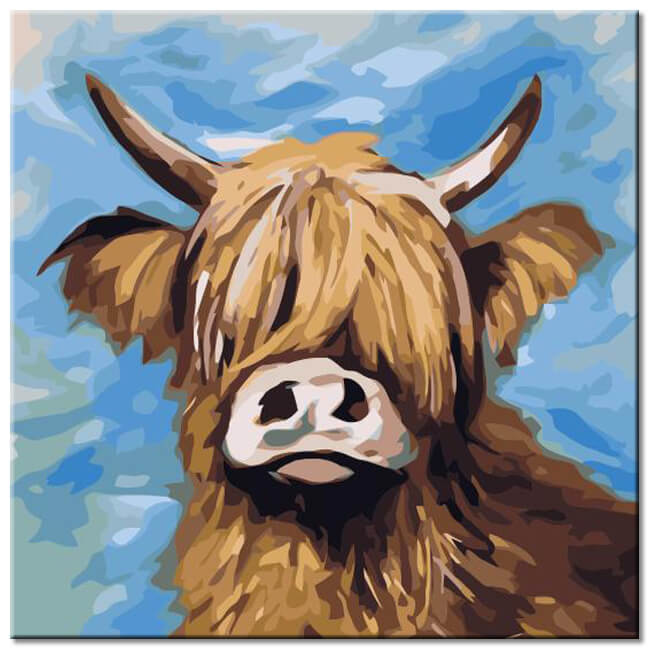 Paint by Numbers Highland Cattle Portrait