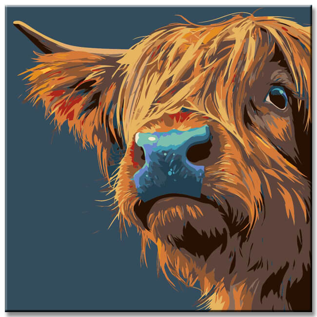 Painting by Numbers Highland Cattle Head Colorful