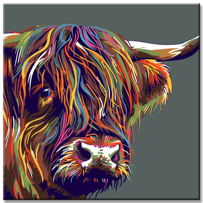Painting by numbers Highland highland cattle head colorful shipping from DE-40*40cm-with stretcher frame-with covering service