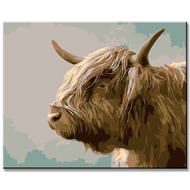 Painting by Numbers Brown Highland Highland Cow