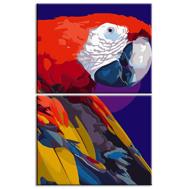 Painting by Numbers Red Parrot Art 2-piece shipping from DE