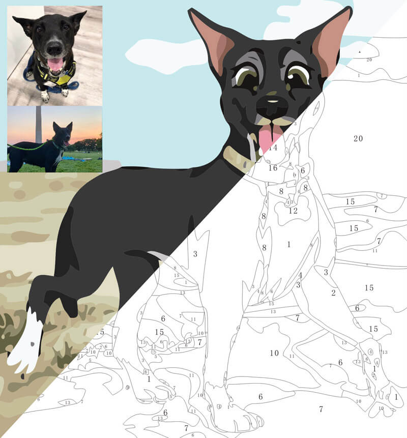 Portrait in polygon art style as a paint by numbers set