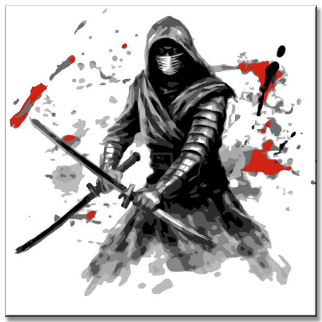 Ninja Warrior - Painting by Numbers