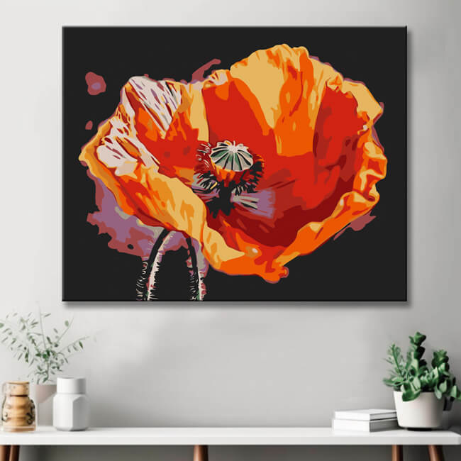 Poppies Blossom I Painting by Numbers - Shipping from DE