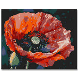 Poppy Blossom III Paint by Numbers