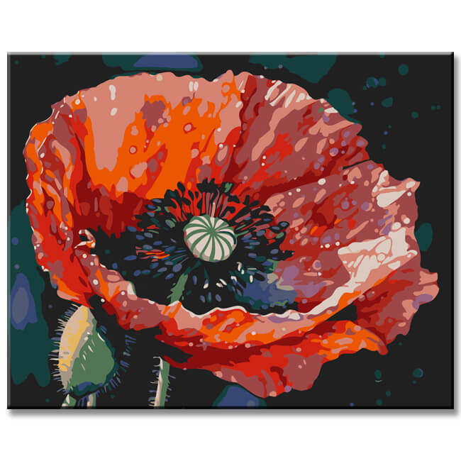 Poppies Blossom III Painting by Numbers - Shipping from DE