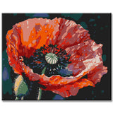 Poppies Blossom III Painting by Numbers - Shipping from DE