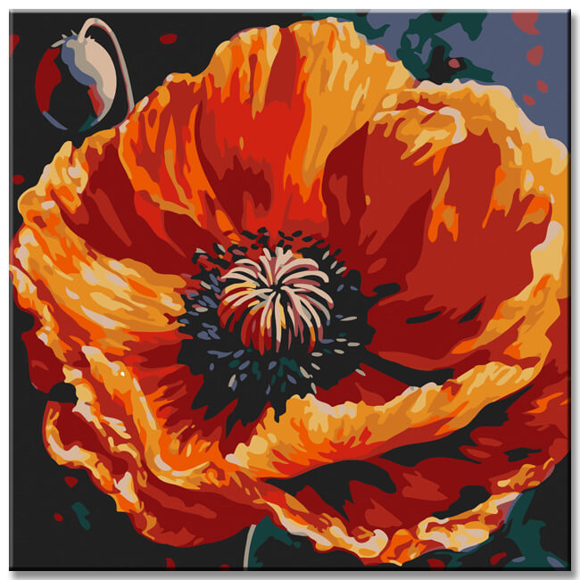 Poppy magic painting by numbers - shipping from DE