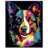 Paint by Numbers Animal Art Painting Border Collie
