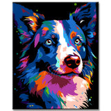 Paint by Numbers Disney Animals Style Border Collie