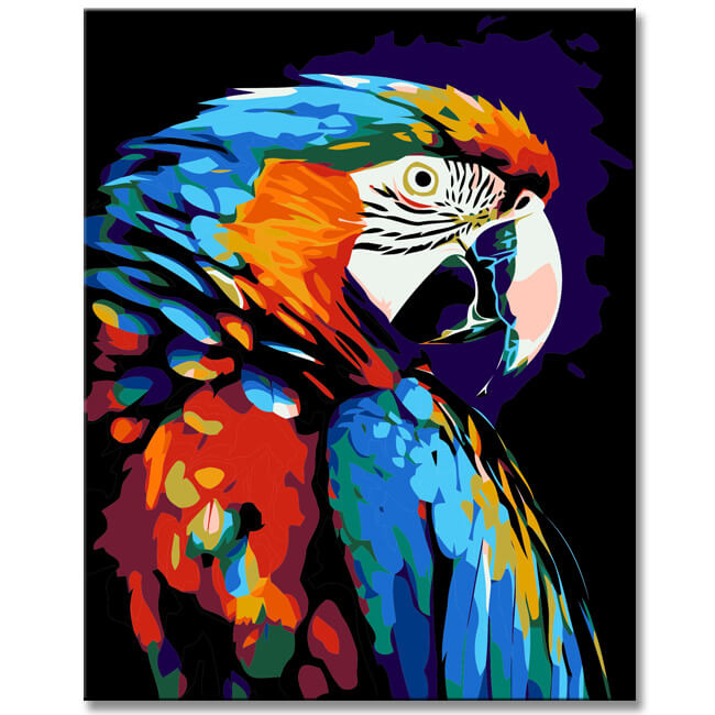 Macaw bird painting by numbers - with brushes and paints