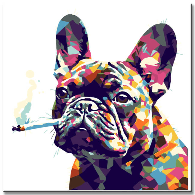 Multicolor Bulldog - Painting by Numbers